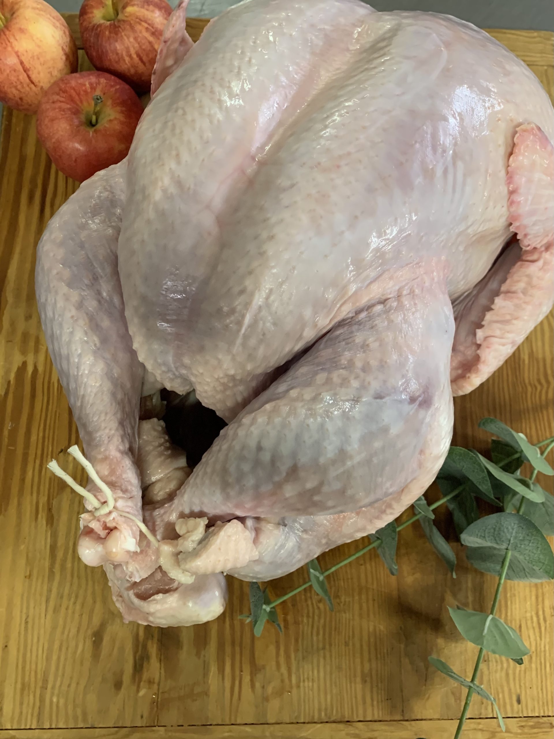 Frozen Turkey, for Restaurant